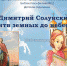 Web-экскурс «Димитрий Солунский – от битв земных до небесных» - ЦГБС г. Камышин