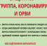 «Бояться нужно не вакцин, а болезней!»: профессор иммунологии объяснила, как в пандемию коронавируса защитить себя от гриппа - Технологический институт