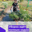 Нажмите для предварительного просмотра изображения - Камышинский район