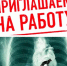 Приюту «КОТОПЕС» срочно требуется работник по уходу за собаками - Инфокам