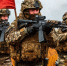 Курскую область освободят к 9 Мая, - «Блокнот - Россия" - Блокнот Камышин