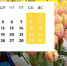 8 марта не станет длинными выходными - Инфокам