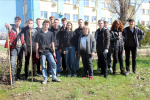 В Камышине об участии в субботнике в открытом доступе «отчитались» только студенты КТИ