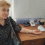 Нажмите для предварительного просмотра изображения - Камышинский район