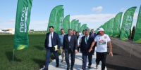 Нажмите для предварительного просмотра изображения - Камышинский район