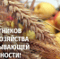 Нажмите для предварительного просмотра изображения - Камышинский район