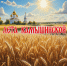 Нажмите для предварительного просмотра изображения - Камышинский район