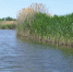 По какому поводу министр-эколог упомянул Волгоградскую область - Инфокам