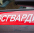 В Камышине росгвардейцы задержали вора-рецидивиста - Инфокам
