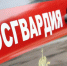 В Камышине росгвардейцы задержали дроппера - Инфокам