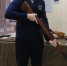 Fomichev_Vit - Инфокам